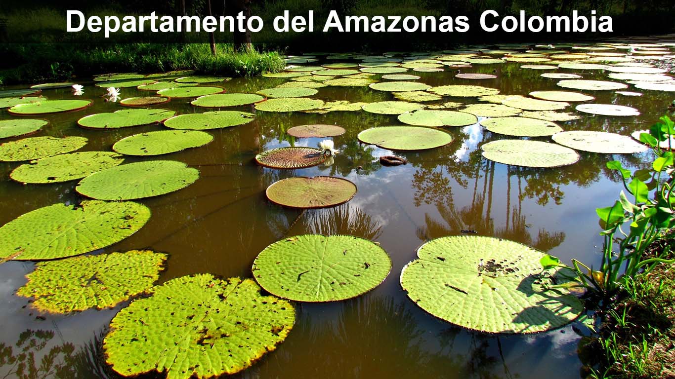 Amazonas: Departamento del Amazonas Colombia