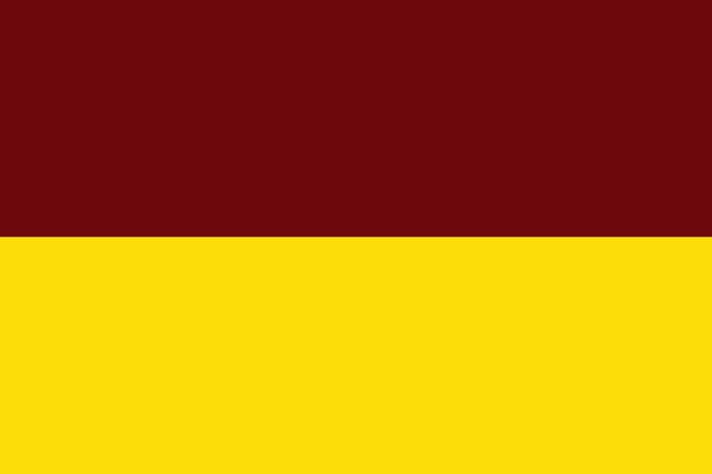 Bandera departamento del Tolima